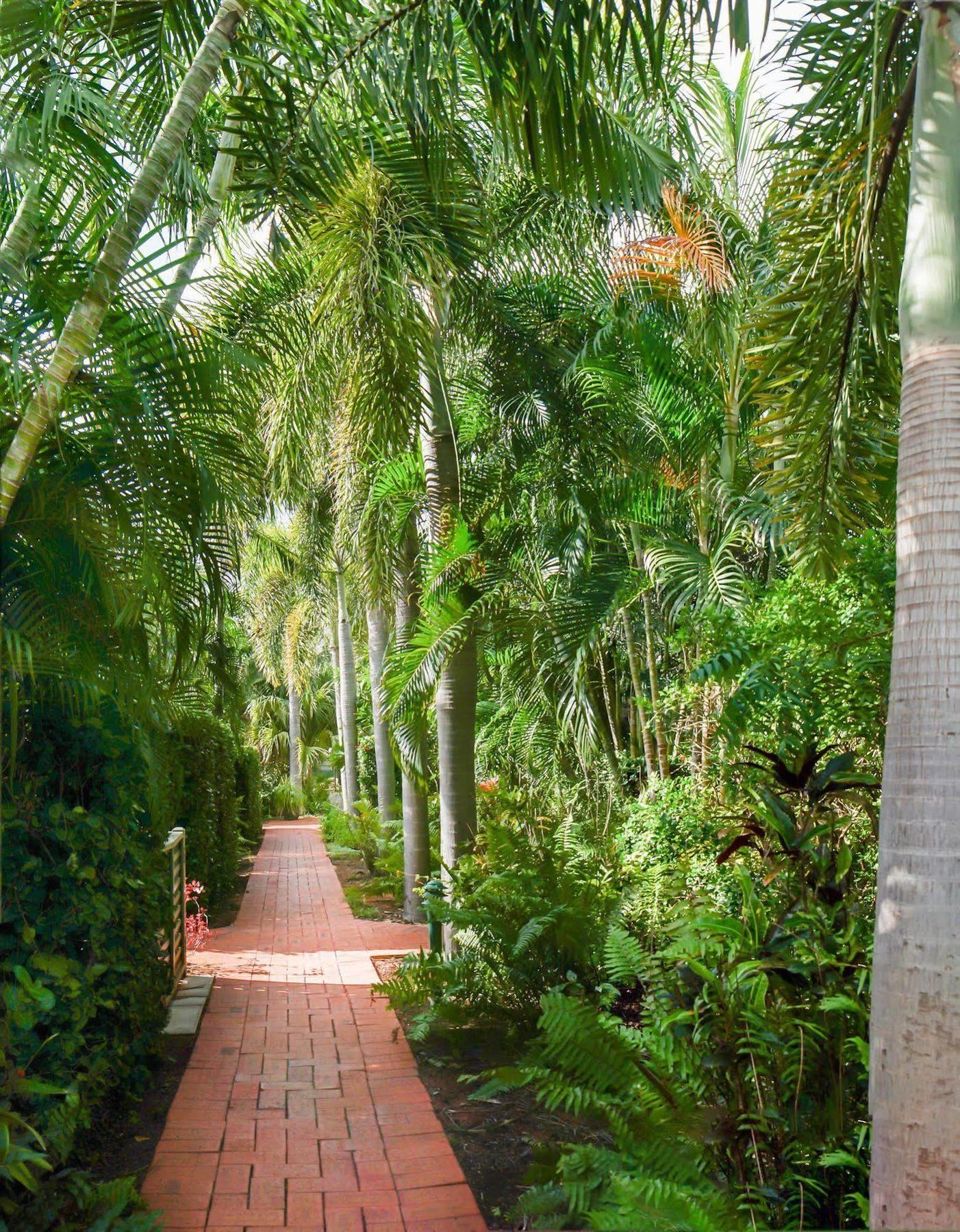 Cable Beachside Villas Broome Eksteriør bilde